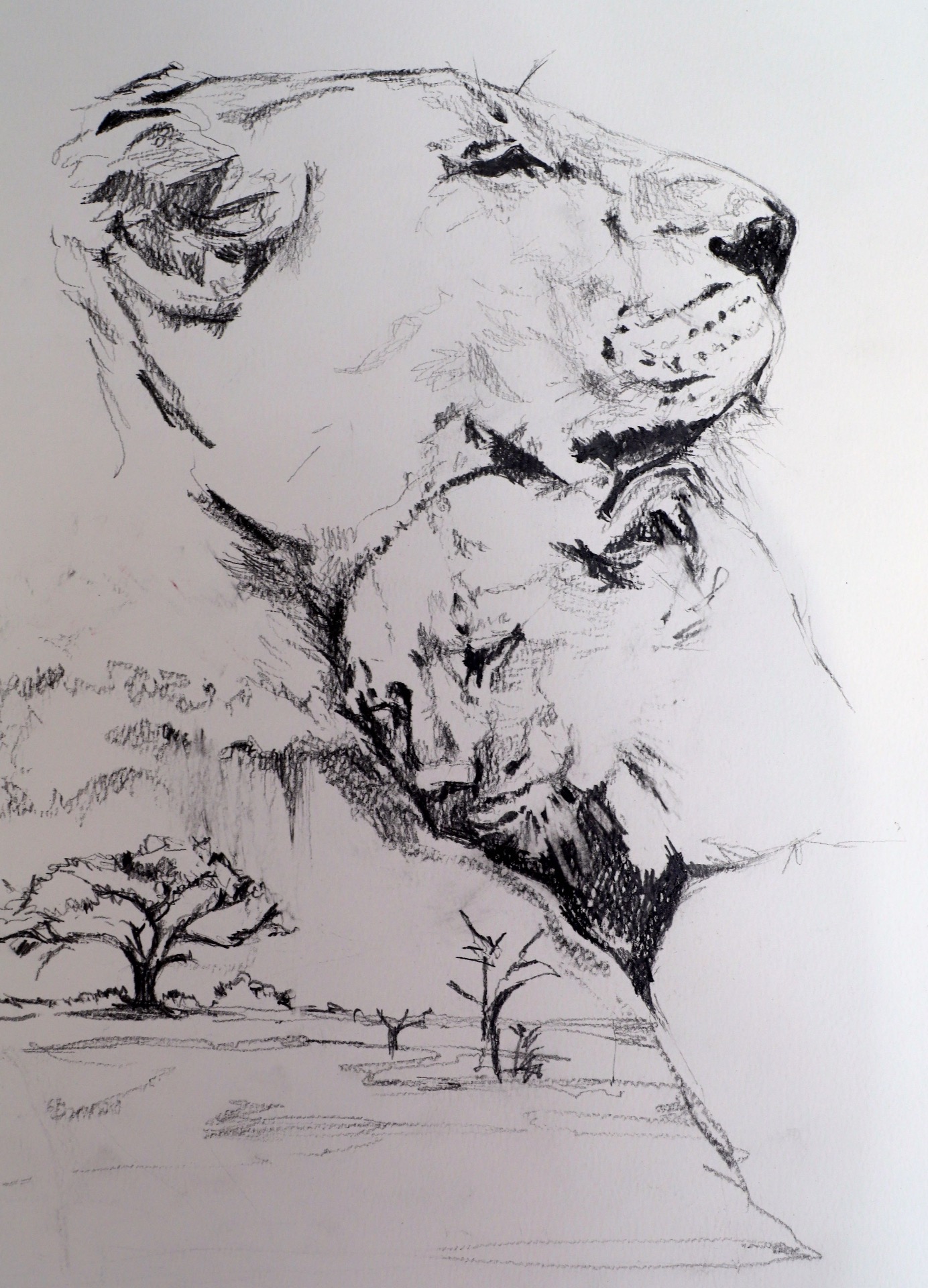 "A Mother's Love", Pencil & Charcoal on paper