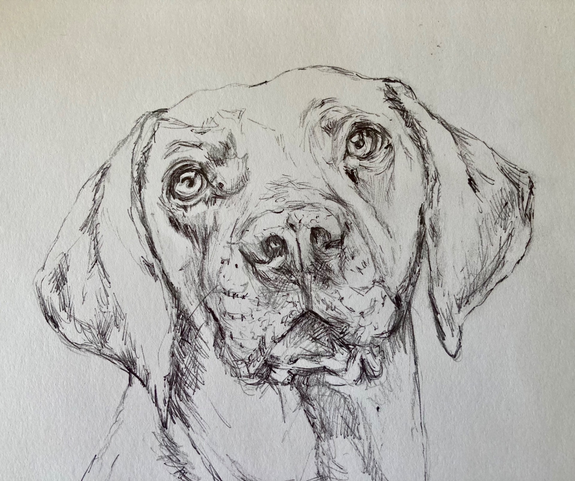 "Uschi", ballpoint pen on paper
