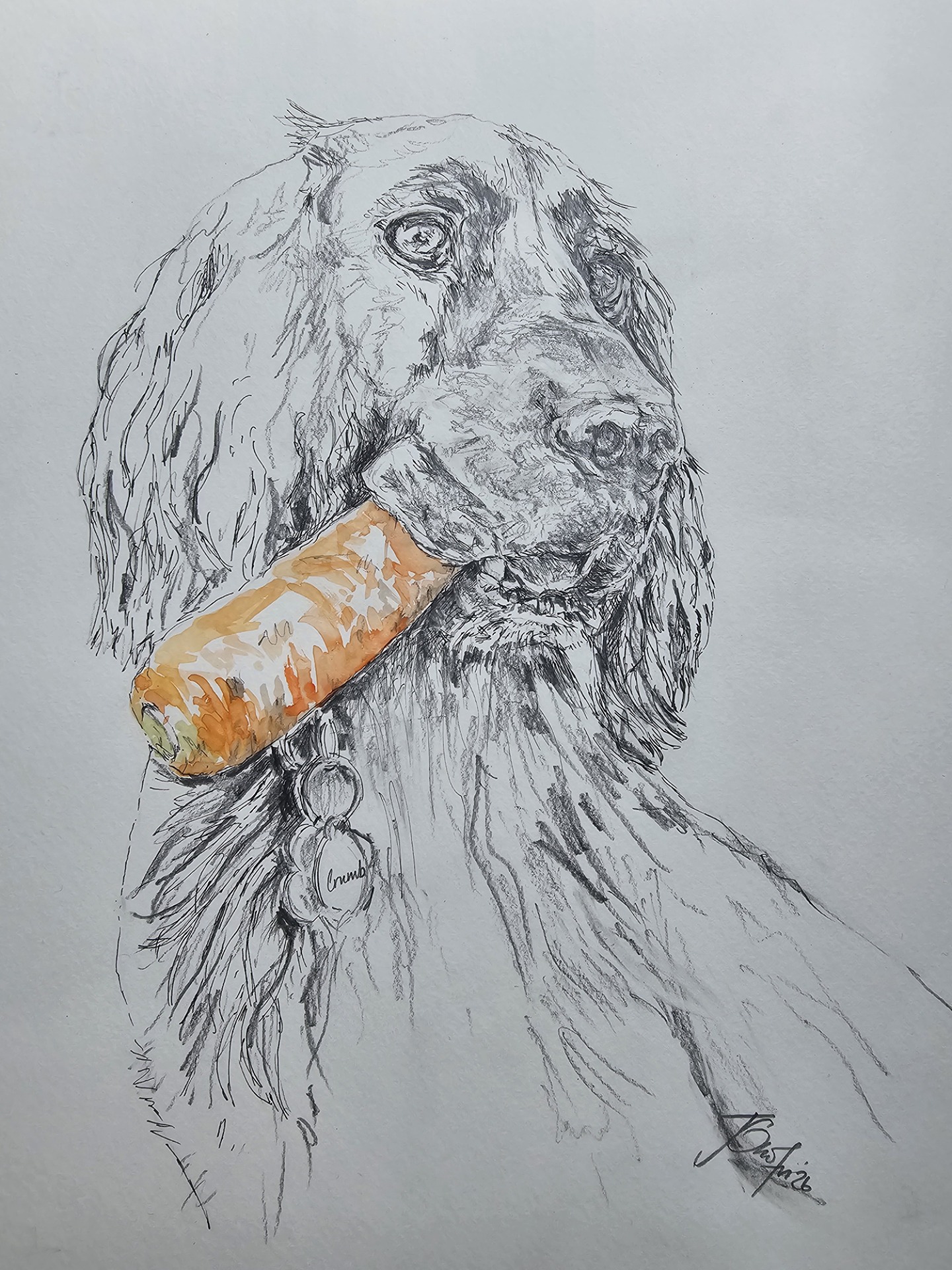 "Crumbs", Pen, pencil and watercolour on paper